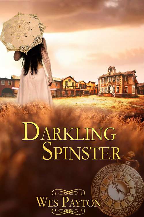 Book cover of Darkling Spinster