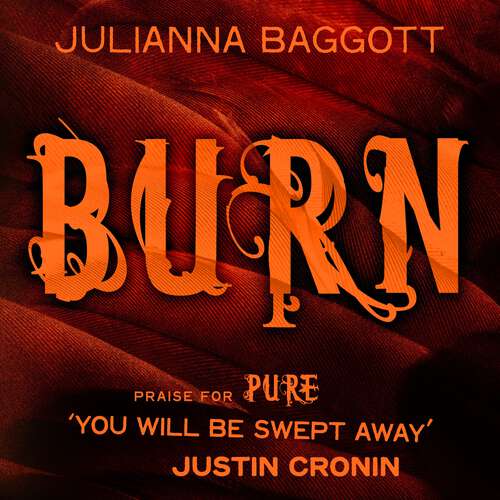 Book cover of Burn
