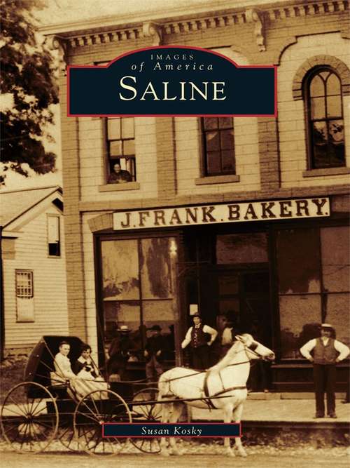 Book cover of Saline