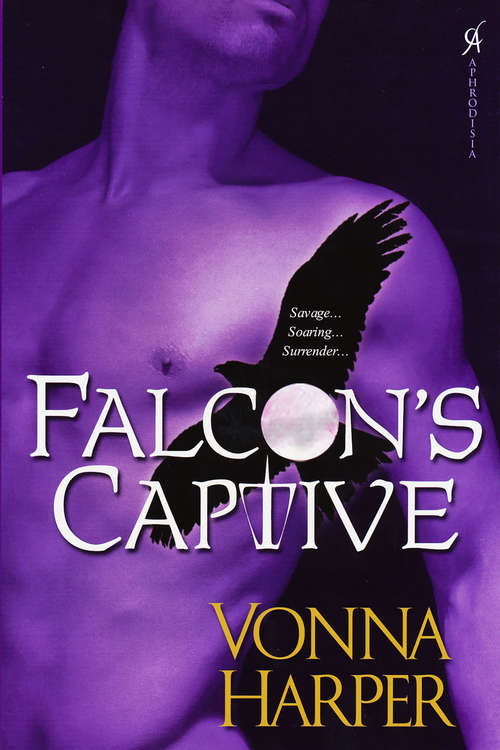 Book cover of Falcon's Captive
