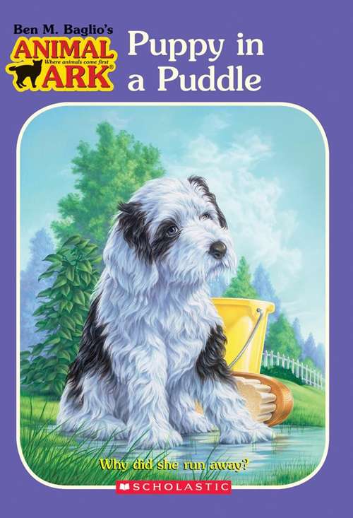 Book cover of Puppy in a Puddle (Animal Ark #28)