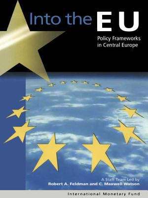 Book cover of Into the EU: Policy Frameworks in Central Europe