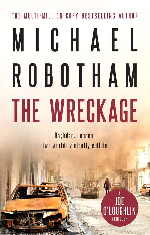 Book cover of The Wreckage (Joe O'Loughlin #14)