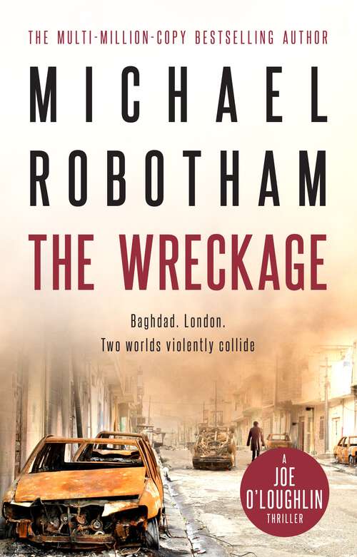 Book cover of The Wreckage (Joe O'Loughlin #14)