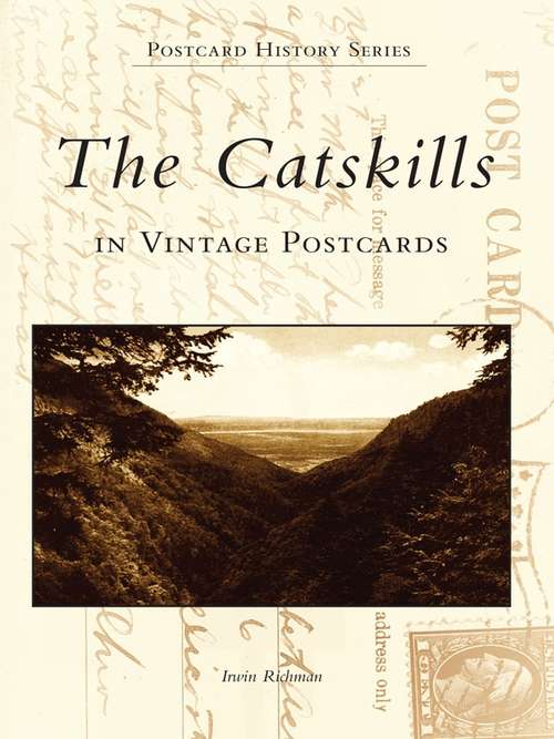 Book cover of Catskills in Vintage Postcards, The (Postcard History Series)