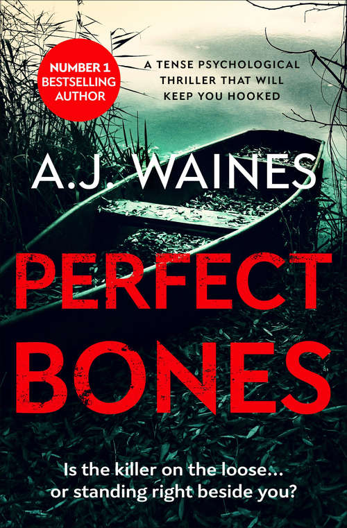 Perfect Bones: A Tense Psychological Thriller That Will Keep You Hooked (The Samantha Willerby Mysteries #3)