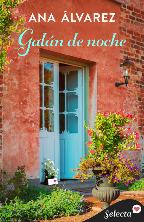 Book cover of Galán de noche