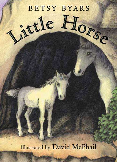 Book cover of Little Horse