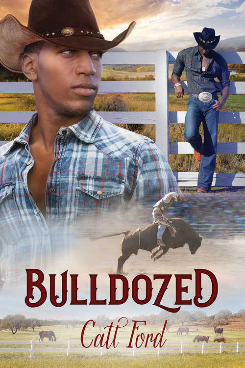 Book cover of Bulldozed