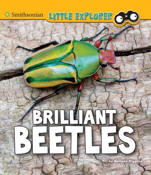 Book cover of Brilliant Beetles: A 4d Book (Little Entomologist 4d Ser.)