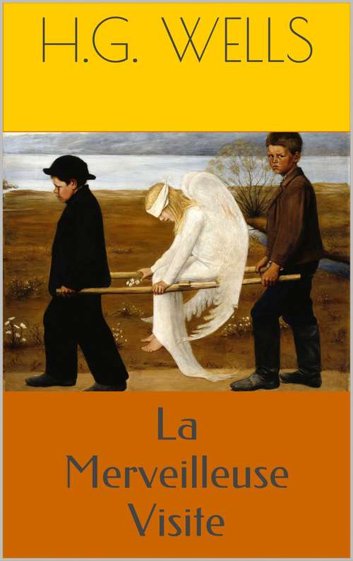 Book cover of La Merveilleuse Visite