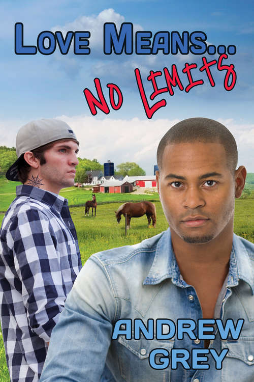 Book cover of Love Means... No Limits