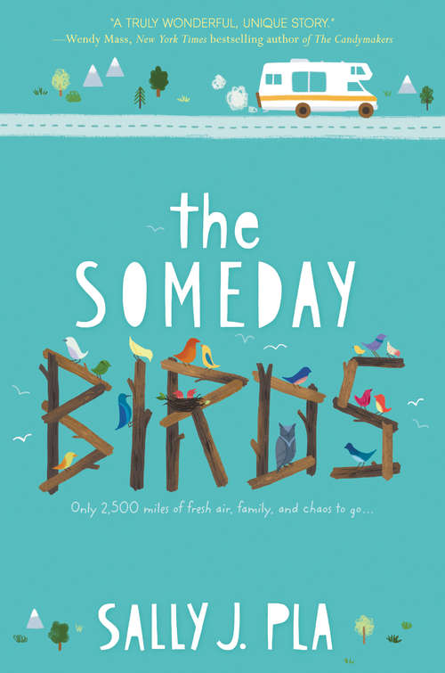 Book cover of The Someday Birds