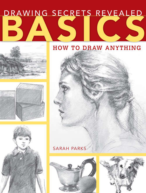 Book cover of Drawing Secrets Revealed - Basics