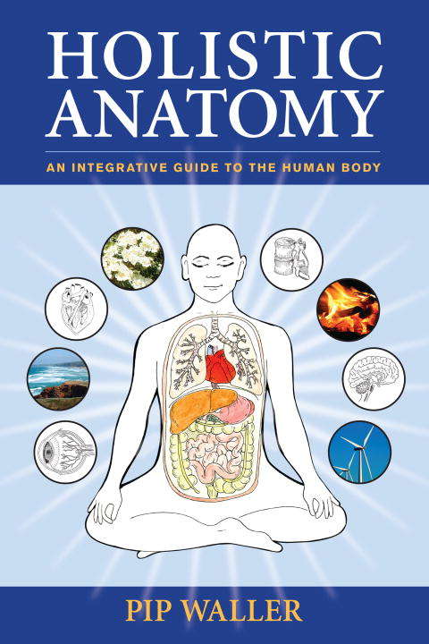Book cover of Holistic Anatomy
