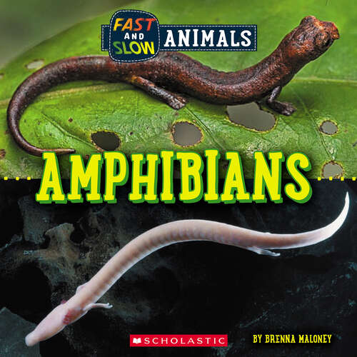 Book cover of Fast and Slow: Amphibians (Wild World)