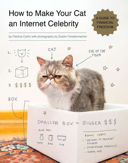 Book cover of How to Make Your Cat an Internet Celebrity