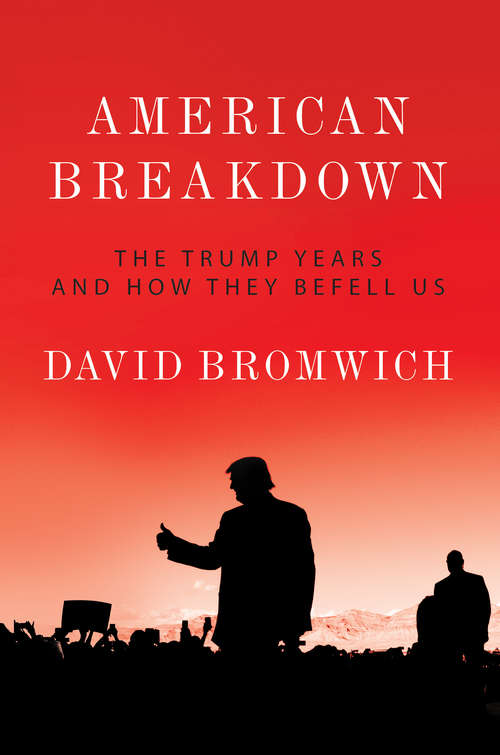 American Breakdown: The Trump Years and How They Befell Us