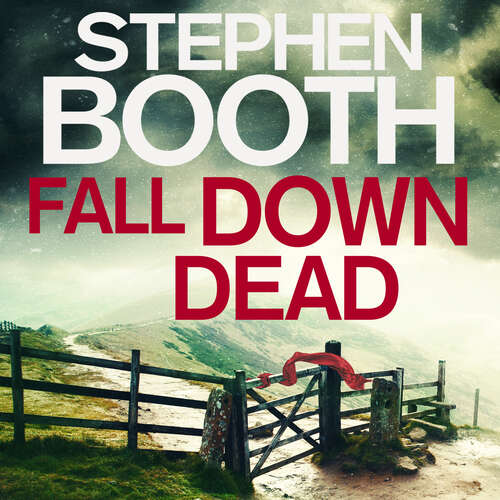 Book cover of Fall Down Dead (Cooper and Fry #22)
