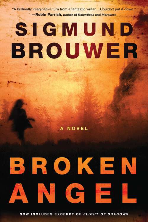 Book cover of Broken Angel