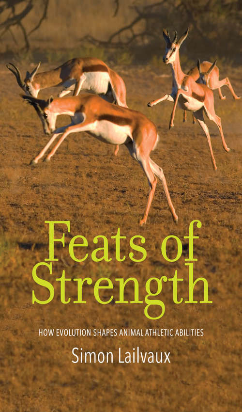 Book cover of Feats of Strength: How Evolution Shapes Animal Athletic Abilities