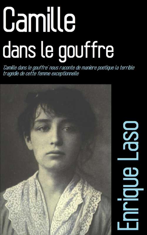 Book cover of Camille dans le gouffre
