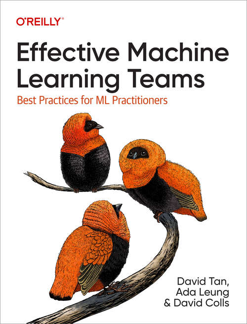Book cover of Effective Machine Learning Teams