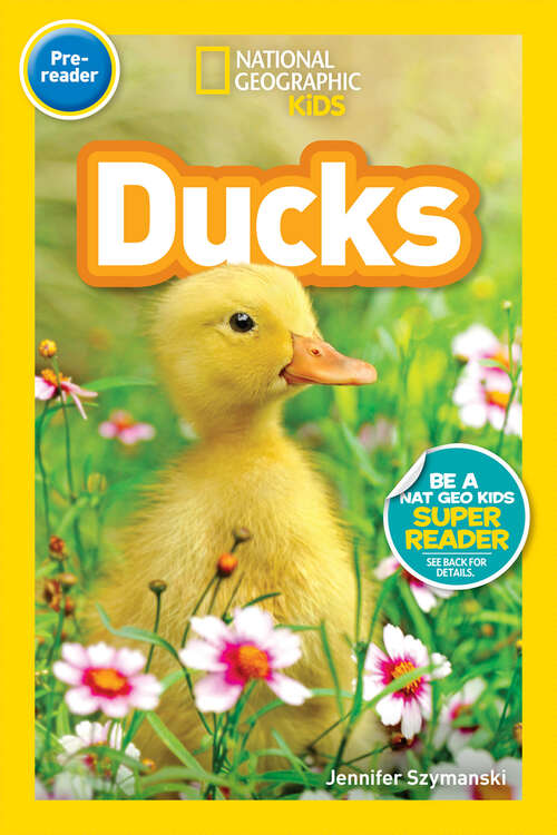 Book cover of Ducks (Readers)