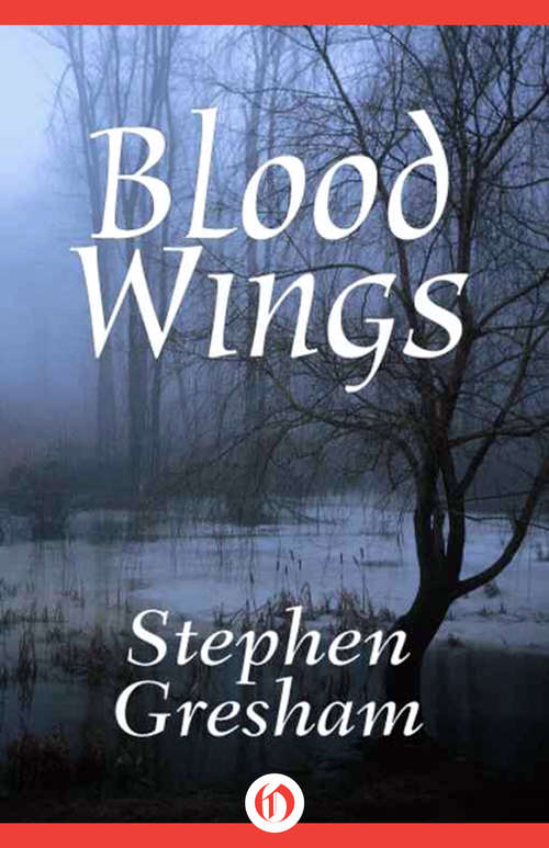 Book cover of Blood Wings