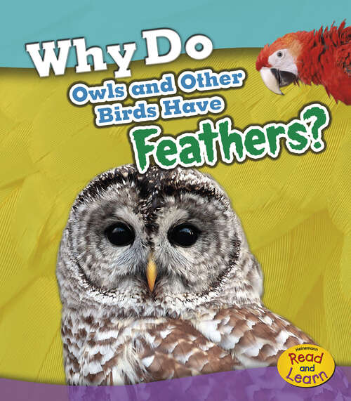 Book cover of Why Do Owls and Other Birds Have Feathers?