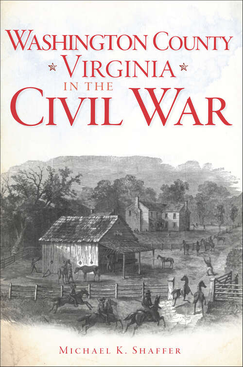Book cover of Washington County, Virginia, in the Civil War (Civil War Series)