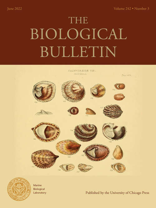 Book cover of The Biological Bulletin, volume 242 number 3 (June 2022)