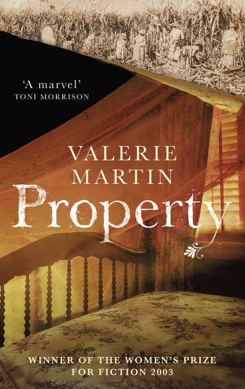 Property: Winner of the Women's Prize for Fiction (Vintage Contemporaries Ser.)
