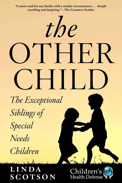 Book cover of The Other Child: The Exceptional Siblings of Special Needs Children