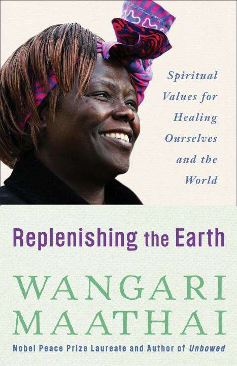 Book cover of Replenishing the Earth Spiritual Valued for Healing Ourselves and the World