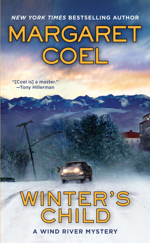 Book cover of Winter's Child