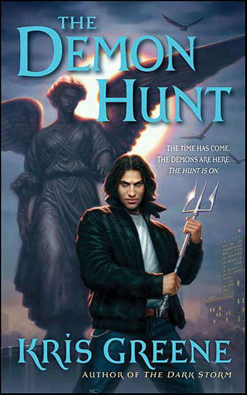 Book cover of The Demon Hunt (A Dark Storm Novel)