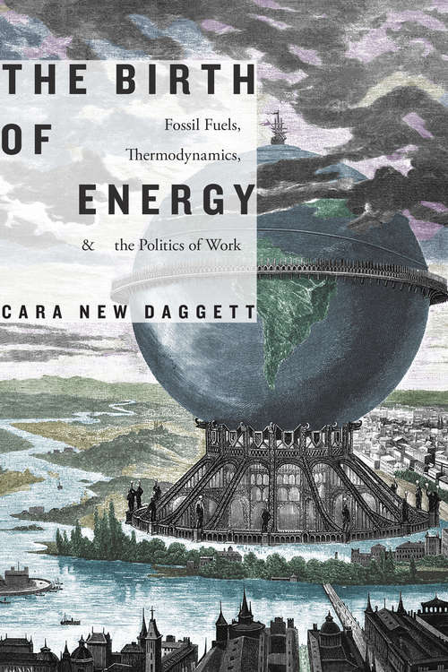 Book cover of The Birth of Energy: Fossil Fuels, Thermodynamics, and the Politics of Work (Elements)