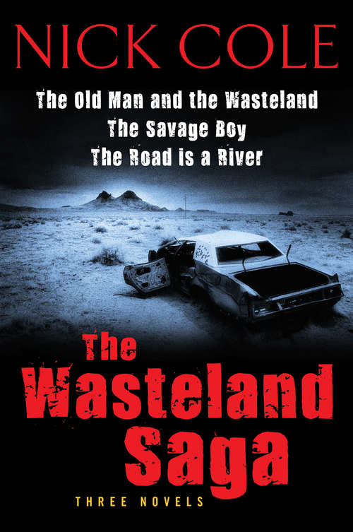 Book cover of The Wasteland Saga