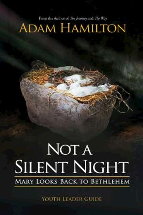 Book cover of Not a Silent Night Youth Leader Guide