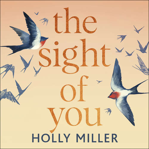 Book cover of The Sight of You: An unforgettable love story and Richard & Judy Book Club pick