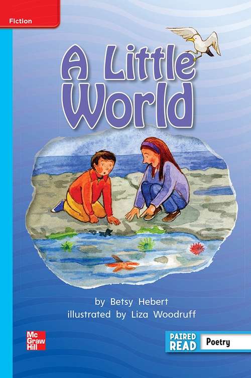 Book cover of A Little World [On Level, Grade 2]