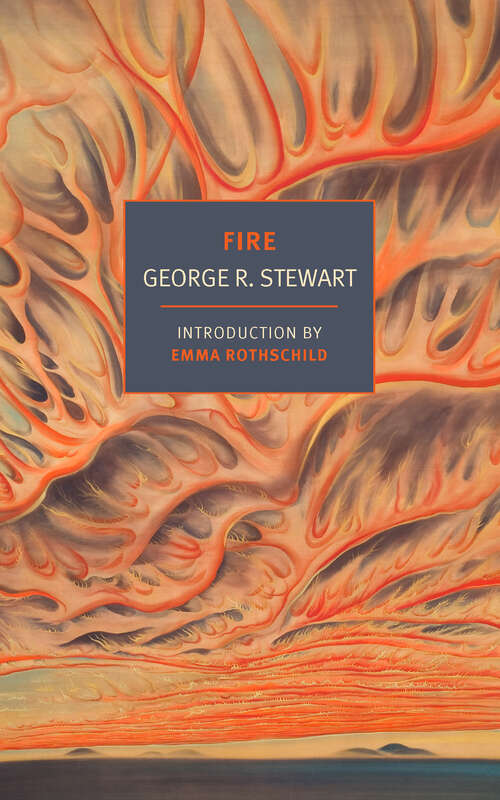 Book cover of Fire