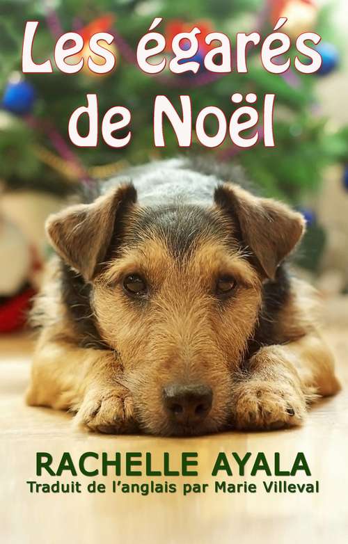 Book cover of Les égarés de Noël
