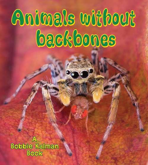 Book cover of Animals Without Backbones (Big Science Ideas)