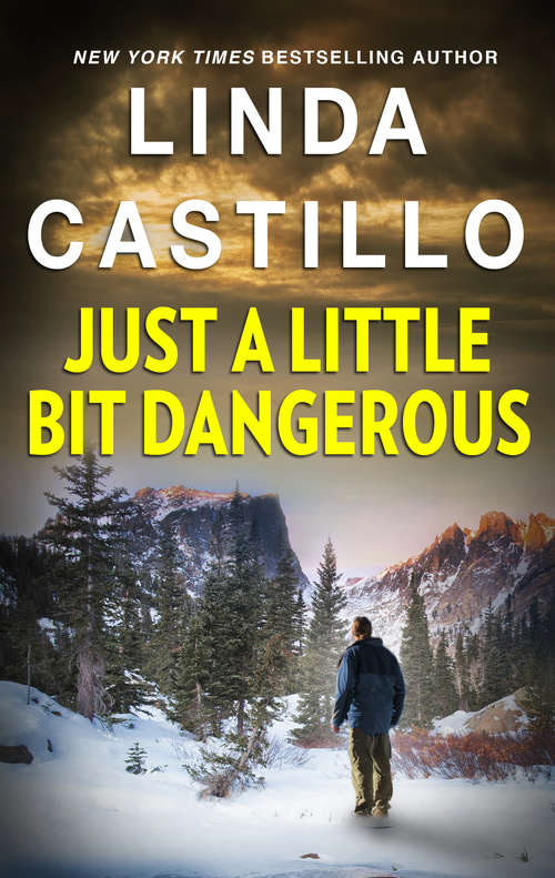 Book cover of Just a Little Bit Dangerous