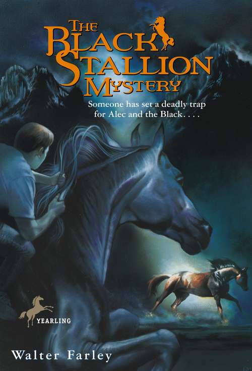 Book cover of The Black Stallion Mystery