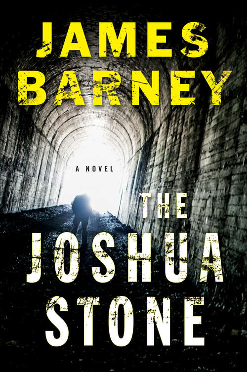 Book cover of The Joshua Stone: A Novel