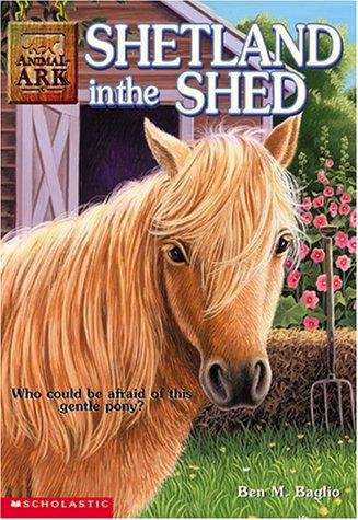 Book cover of Shetland in the Shed (Animal Ark #20)