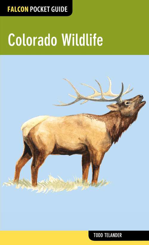 Book cover of Colorado Wildlife (1st Edition) (Falcon Pocket Guides)